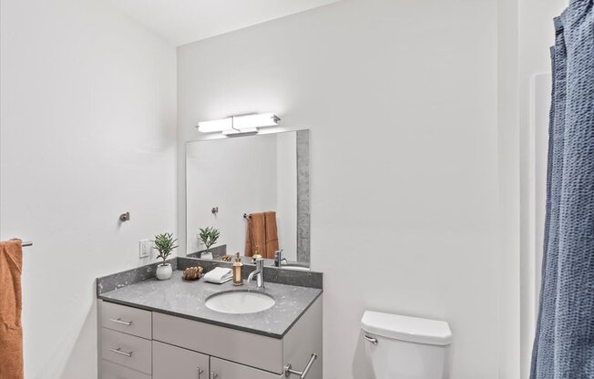 A bathroom with a sink, mirror, and toilet.