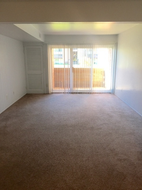1 bed, 1 bath, 700 sqft, $1,095, Unit #101