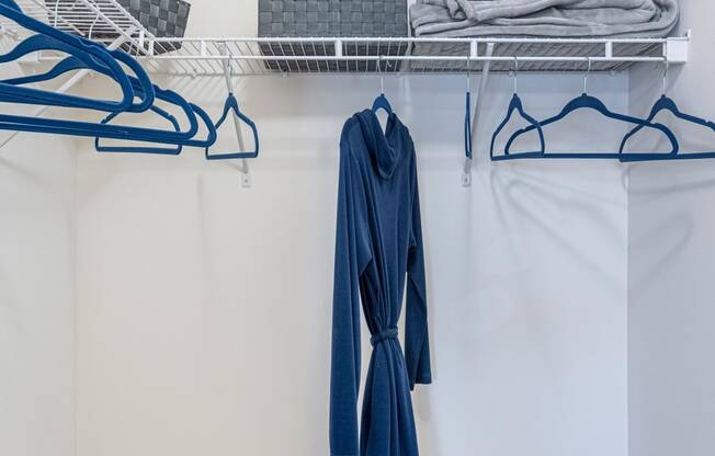 Closet within bedroom