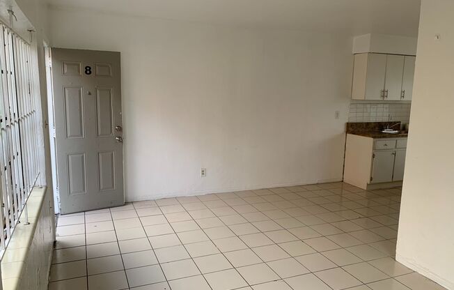 Studio, 1 bath, 313 sqft, $1,300, Unit 8