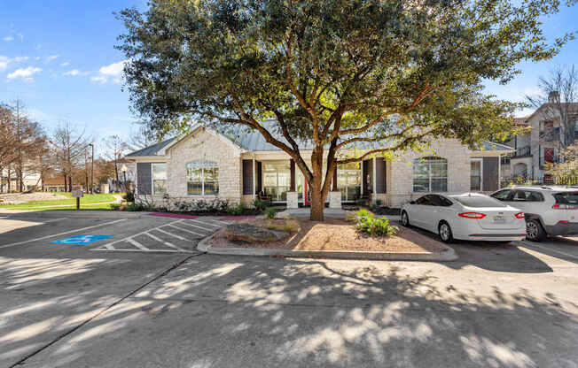 A tree in front of a building with a white car parked in front of it.