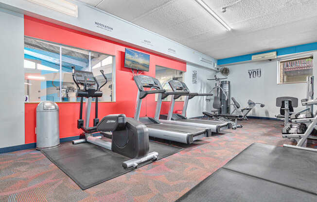 A gym with treadmills, exercise bikes, and other equipment.