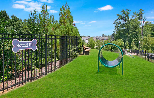 a large grassy area with a swing set and a trampoline