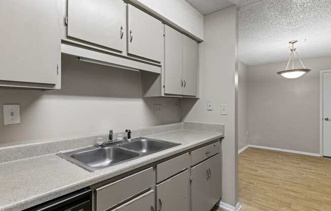 A kitchen with a sink, dishwasher, and cabinets.