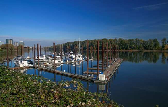Boathouse Apartments Marina and Waterfront View