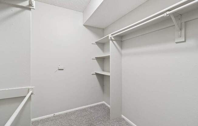 A white room with a carpeted floor and a couple of shelves.