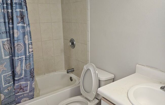 1 bed, 1 bath, $1,350, Unit Apt. B