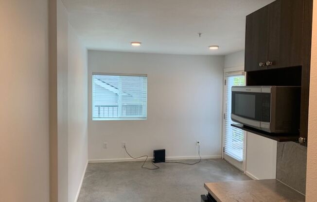 Studio, 1 bath, 186 sqft, $1,295, Unit 217