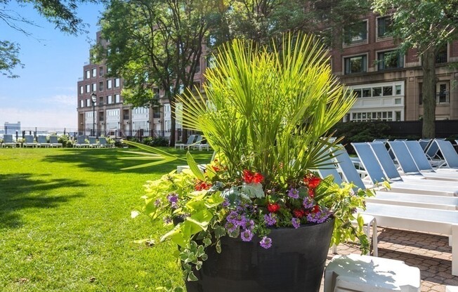 1 bed, 1 bath, 750 sqft, $3,300, Unit 16A