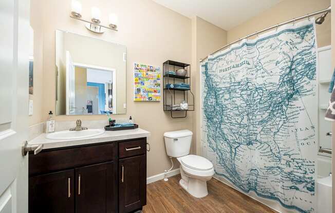 a bathroom with a shower curtain and a toilet and a sink