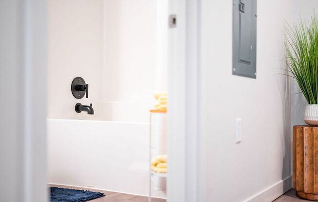 Studio, 1 bath, 350 sqft, $1,500, Unit 212