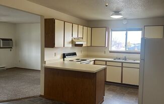 2 beds, 1 bath, 970 sqft, $795, Unit 306