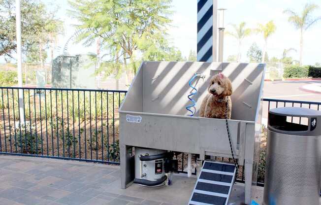 A dog is sitting on top of a grey metal structure.