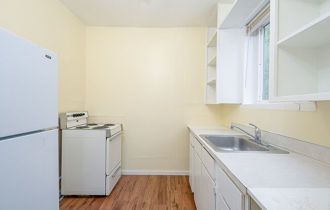 Studio, 1 bath, 359 sqft, $1,195, Unit 203