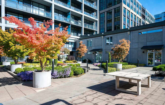 a courtyard with benches and trees in front of tall buildings