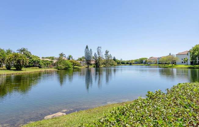 Pet-Friendly Apartments in Coconut Creek, FL – Waterview at Coconut Creek – a lake with plants and trees around it