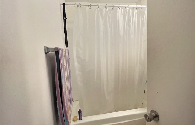 1 bed, 1 bath, 999 sqft, $2,800, Unit 17