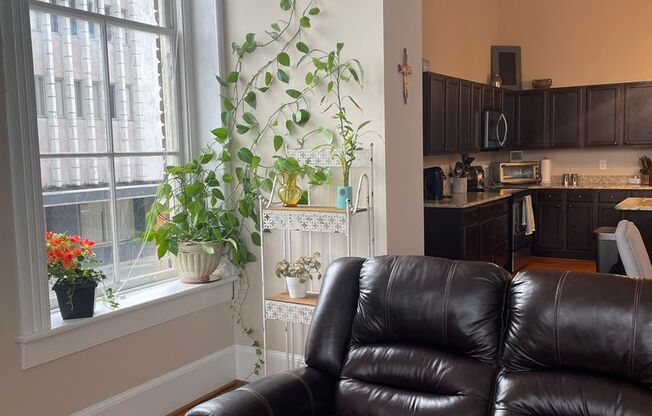 The McGregor Lofts