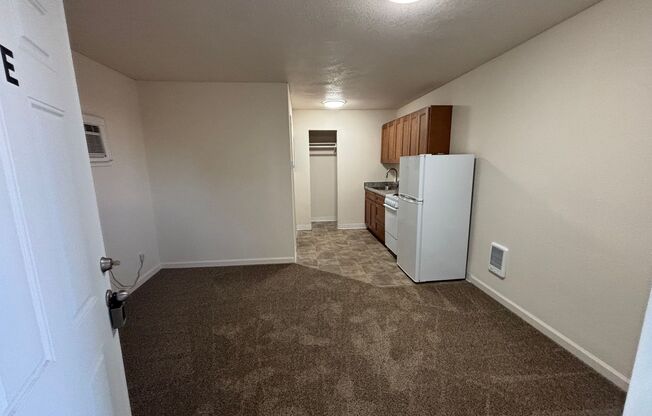 Studio, 1 bath, 260 sqft, $1,100, Unit C