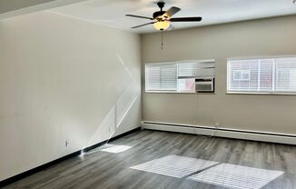 Studio, 1 bath, 400 sqft, $1,135, Unit 203