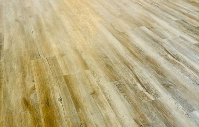 1 bed, 1 bath, 565 sqft, $999, Unit 203