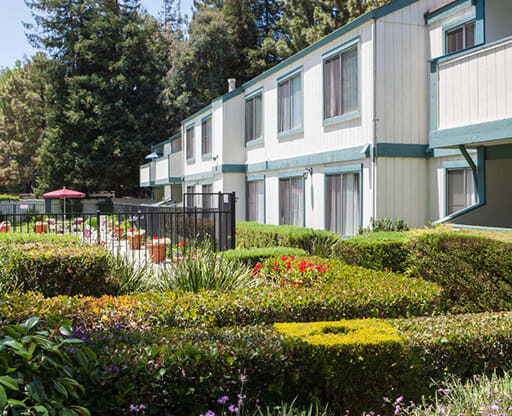 Courtyard Green Space at Oak Pointe, Fremont, CA