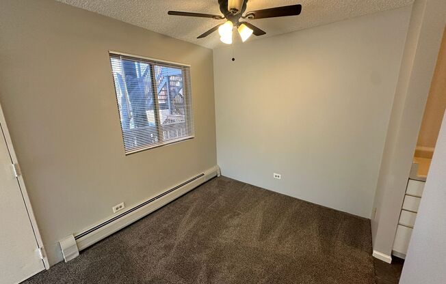 LOCATION LOCATION!! Newly remodeled 1-bedroom, Move in Ready!!! Indoor and Outdoor Pool!