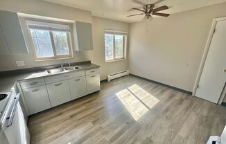 1 bed, 1 bath, 600 sqft, $1,295