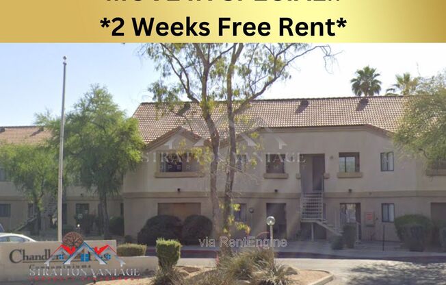 1287 North Alma School Road #284