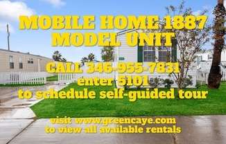 2141 TULUM CALLE