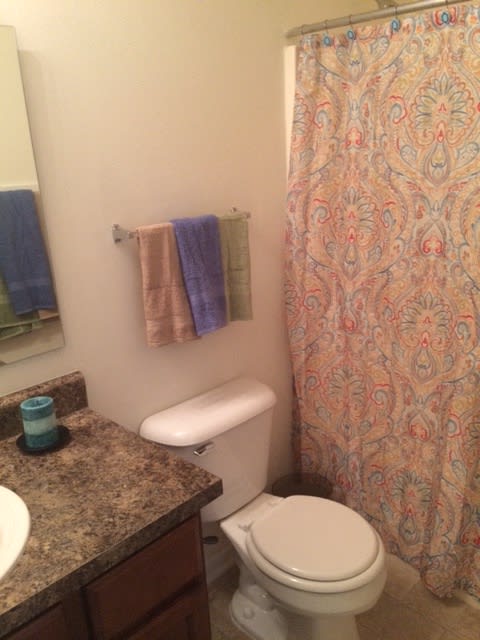 Bathroom at Wayside Apartments, Raeford, NC