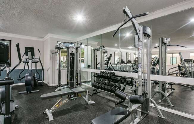 a gym with weights and cardio machines and a tv