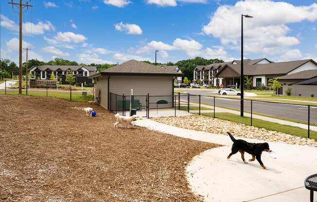 two dogs walking on a sidewalk near a dog park
