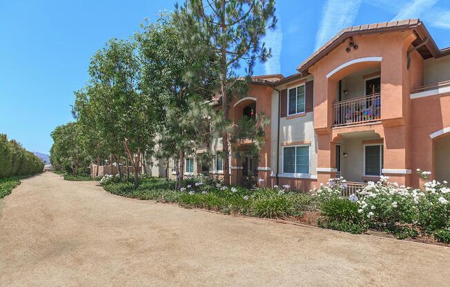 THIS IS YOUR EVERYDAY