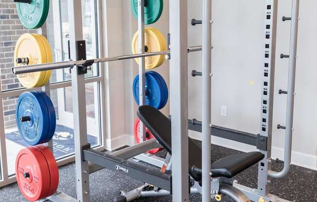 A weight rack with blue, yellow, red and green weights.