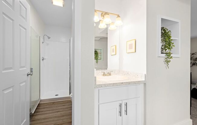 A bathroom with a white door and a white counter.