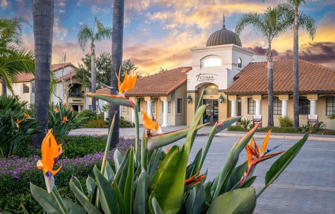 A building with a dome and palm trees in front.