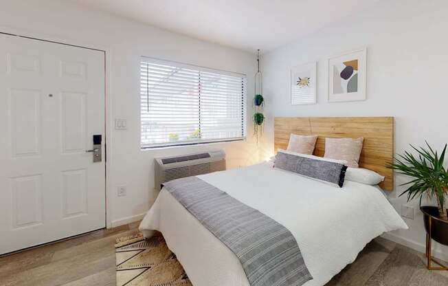 A bedroom with a bed, a chair, and a plant.