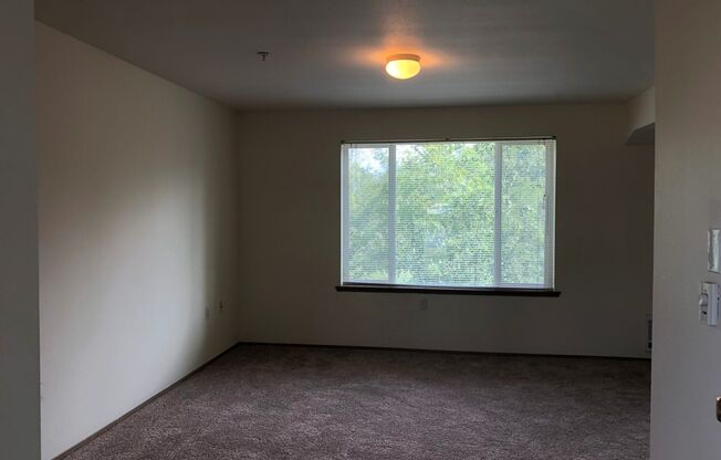 1 bed, 1 bath, 745 sqft, $1,300