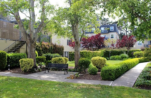 a park bench sitting in the middle of a garden