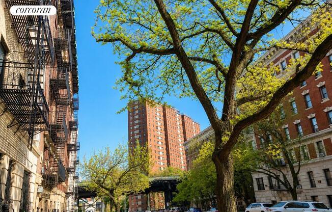55 TIEMANN PL