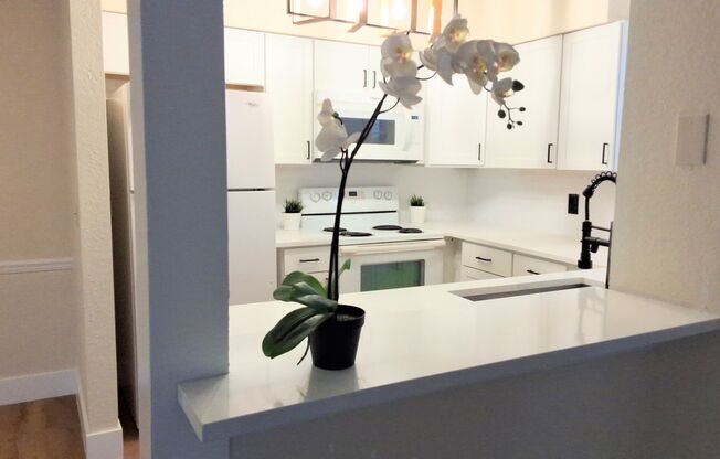 1/1 Second Floor Remodeled Condo X Rent In Winter Park in front of Full Sail and close to UCF, Rollins College and Valencia College.