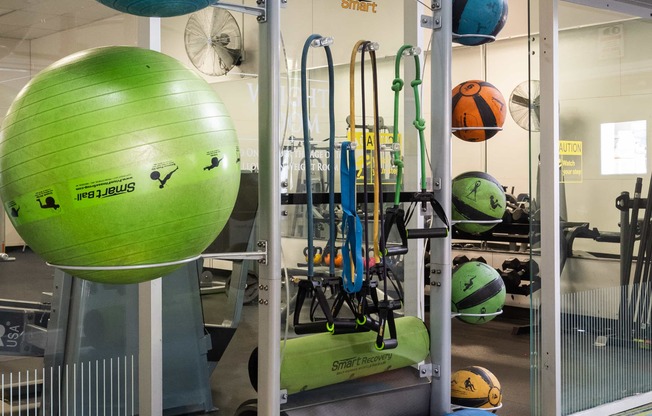 a gym with weights and cardio equipment on a rack