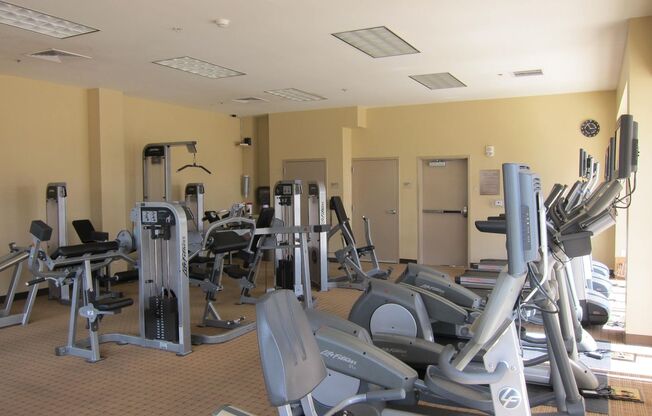 1 bed, 1 bath, $2,600