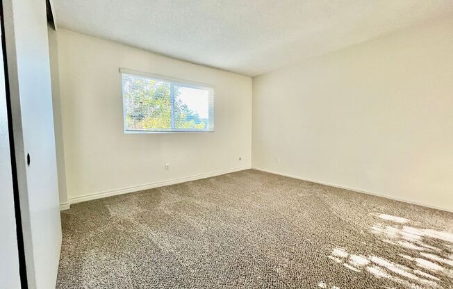 1 bed, 1 bath, $1,750, Unit 18