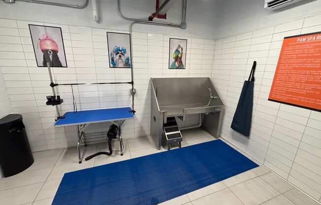 A pet spa washing, drying and styling stations
