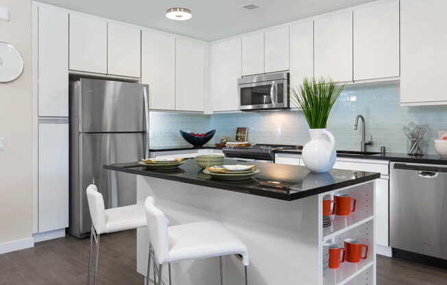 Kitchen with Stainless Steel Appliances