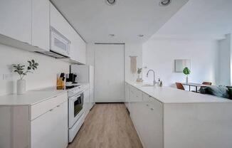 a white kitchen with a stove and a sink