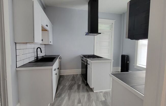 Charming renovated avenues apartment