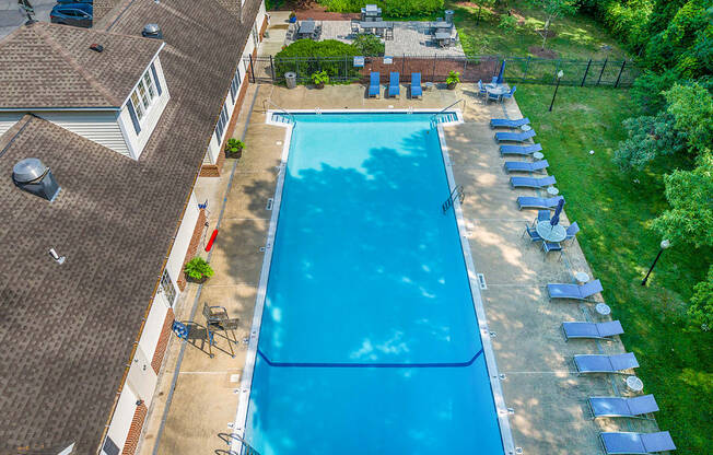 A large blue swimming pool surrounded by lawn chairs and trees.